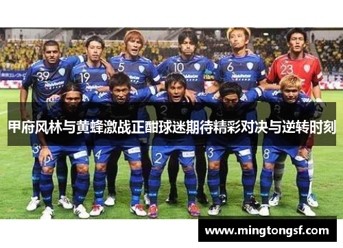 甲府风林与黄蜂激战正酣球迷期待精彩对决与逆转时刻